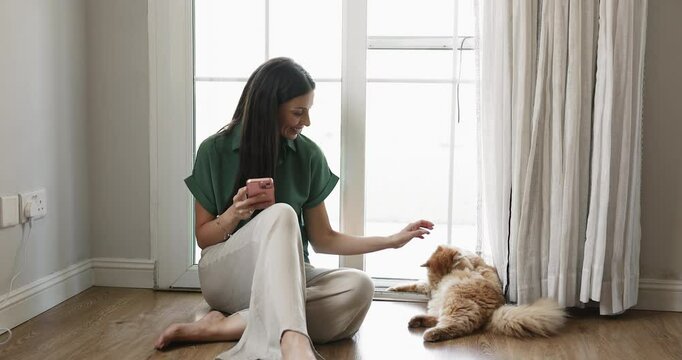 Fluffy Persian cat licking itself, grooming, lying on floor near young female owner using her smartphone stroking ginger pet at free time at home. Leisure at home with modern device and lovely animal