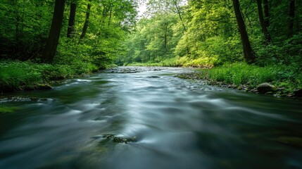 Obraz premium Serene fast river flowing through lush green forest ideal for kayaking adventures in summer captured with long exposure technique