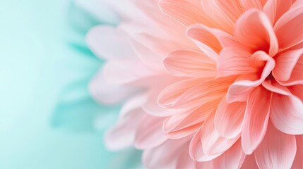Fototapeta premium Blurred abstract background idea. Delicate pink flower petals against a soft turquoise background.