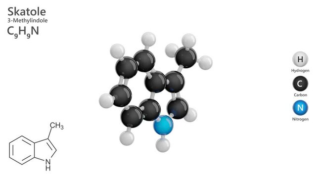 Skatole or Scatole. Fragrance. Animated 3D model of a molecule. Molecular formula: C9H9N. Chemical model: Ball and stick. White background. 3D rendering. Seamless loop.
