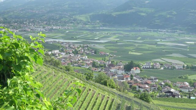 View of Tscherms with Meran in the background in the Etschtal Valley, South Tyrol, Italy