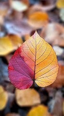 A close-up of autumn leaves in various shades, with the focus on one leaf that is slightly colored red and yellow.