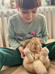 Simply Together: A Boy and His Bunny