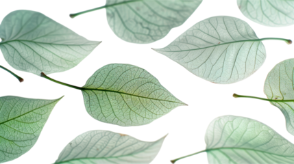 Delicate Green Leaves Pattern - Nature's Artistic Beauty