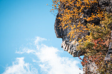 A dramatic rock face, resembling a human profile, is partially covered with autumn foliage against...