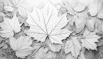 Coloring sketch of leaves pattern, number 3