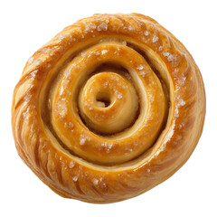 Palmier isolated on a white background.