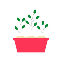 Plant Sprouts In A Red Planter Box In Flat Vector Illustration Symbolizing Gardening, Growth, And Eco Friendly Practices, Isolated On White Background.