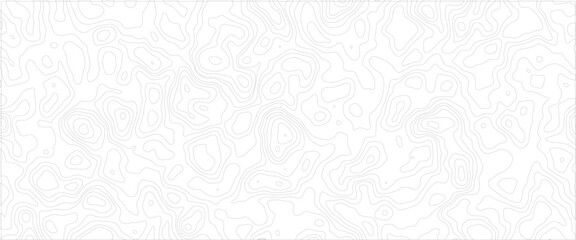 Vector black wave curve Topography grid map. white wave line geography landscape Topo contour map on white background. 