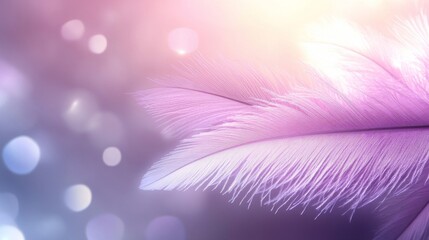 Obraz premium Soft Lavender Feathers Against A Bokeh Background