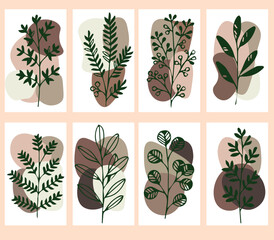 set Flowers drawn by hand line, logo for design, on white background, Mocha Mousse colors - Pantone colors of 2025