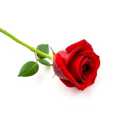 Rose flower Digital, Rose flower pirmeam designe ai gnarater.