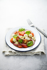 Tomato salad with red onion and cheese