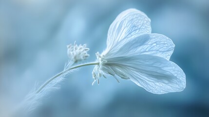 A close-up view of a petal with a soft, blurred background, where tiny water droplets rest delicately on its surface, highlighting the gentle beauty and tranquility of flora in the morning light. 