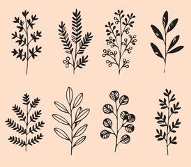 Print set Flowers hand drawn black line logo for design on white background plant branch