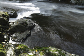 Feuchtgebiet