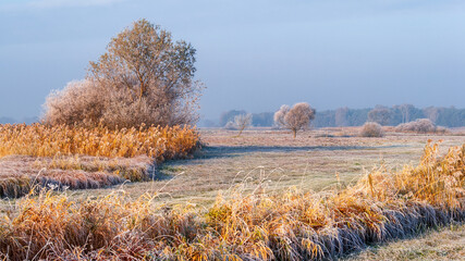 Piękno zimowego krajobrazu w dolinie rzeki Narew, Podlasie, Polska © podlaski49