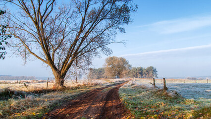 Piękno zimowego krajobrazu w dolinie rzeki Narew, Podlasie, Polska © podlaski49