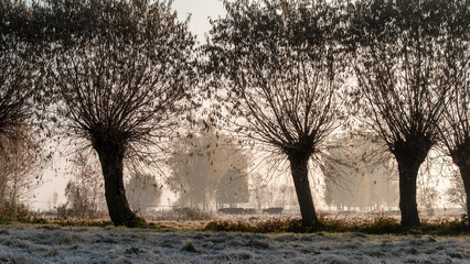 Piękno zimowego krajobrazu w dolinie rzeki Narew, Podlasie, Polska © podlaski49