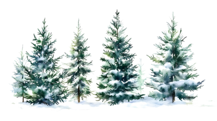 watercolor drawing of christmas fir tree forest isolated on white or transparent png