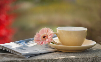 stylishly arranged coffee cup with flower and newspaper in garden, pastel colors, decorative, morning mood