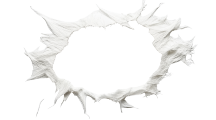 Abstract White Circle Design - Unique Graphic Art