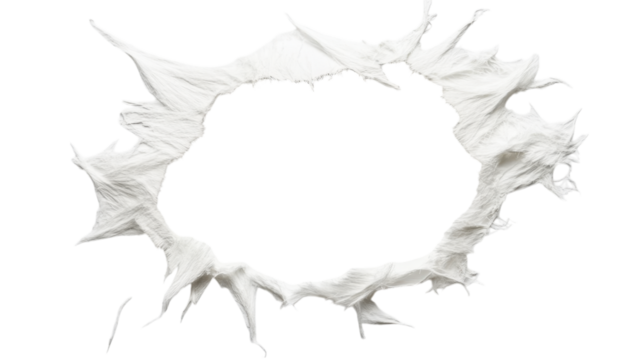 Abstract White Circle Design - Unique Graphic Art