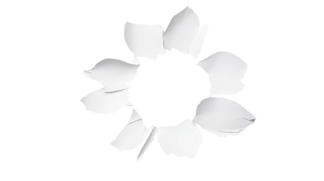Abstract White Flower Design, Unique Floral Pattern