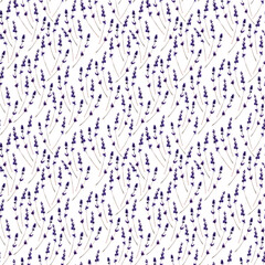 Watercolor seamless pattern with aromatic herbs and flowers, perfume bottles and eau de toilette