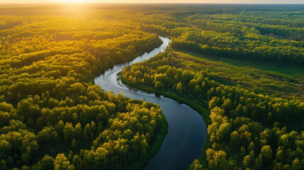 serene river flows through lush green forest in Russia, illuminated by warm glow of sunset. vibrant landscape showcases nature beauty and tranquility