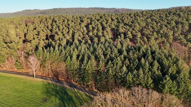Flug &uuml;ber einen Wald