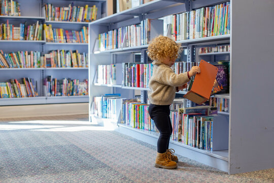 A toddler with curly hair wearing a sweater and boots is selecting a book from a shelf in a library. Cleveland, Ohio, USA