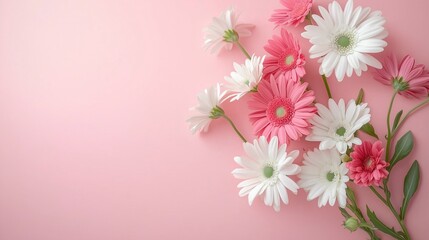 Naklejka premium A beautiful bouquet of pink chrysanthemum flowers showcases the beauty of nature's floral blossoms