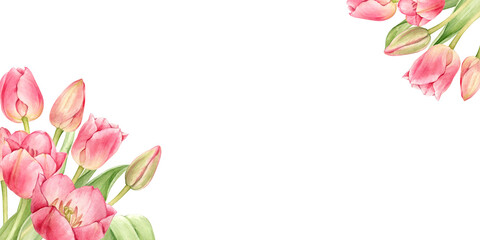 Rectangular frame with pink tulips in a realistic style with space for text. For holiday cards, banners, flyers and your design. The illustrations are hand drawn in watercolor and isolated