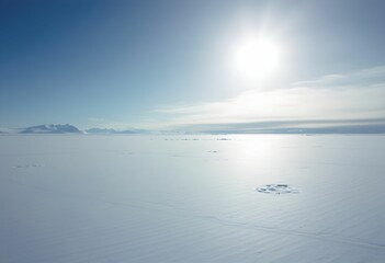 Obraz premium Remote Antarctic Plain Under Intense Midday Sun