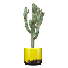 3d illustration of Saguaro plant in pot isolated on transparent canvas