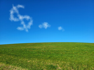 Dollar shaped cloud over a green field and blue sky, dollar symbol over a field, agriculture economy
