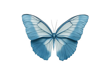 Fototapeta premium Blue and White Butterfly on Transparent Background