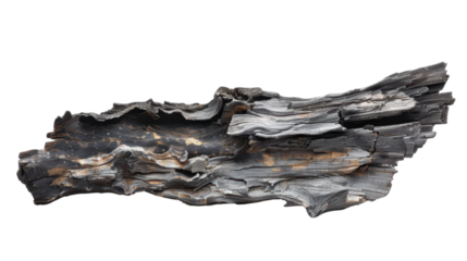Charred Wood Fragment - Nature's Abstract Art