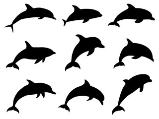set of dolphins