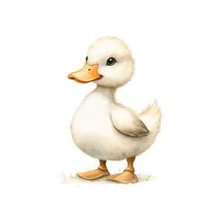 Duck isolated on png background. Wonderful watercolor duck without background in png format. Ready illustration for any of your designs. Character watercolor.
