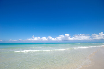 Costline at tropical beach