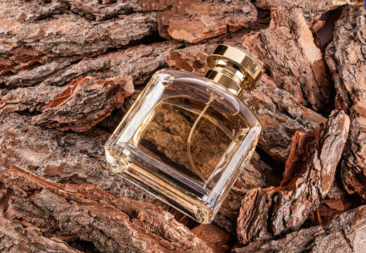 Elegant male perfume bottle on rustic wood bark background