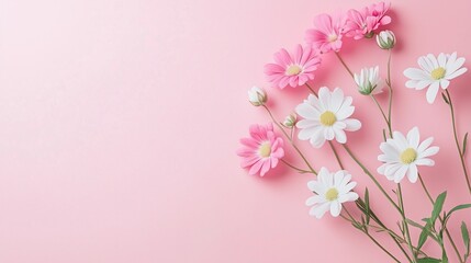 Fototapeta premium A beautiful bouquet of pink and white flowers