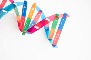 DNA molecule spiral structure model isolated on white background, chromosome and gene chemical...