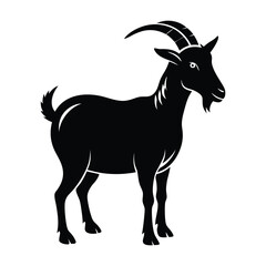 goat on a white background