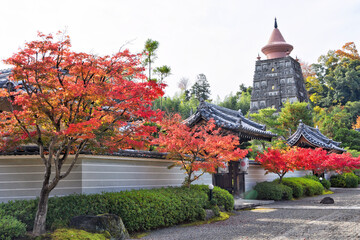 妙満寺の紅葉と仏舎利大塔
