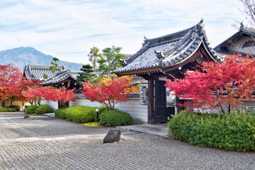 Fototapeta premium 妙満寺の紅葉と比叡山