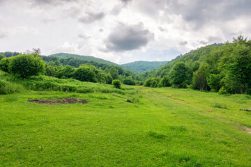 Obraz premium countryside landscape in mountains. carpathian woodland. cloudy weather. grassy meadow and forest on the hill in summer. scenic view