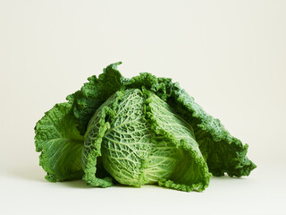 Savoy cabbage over beige background